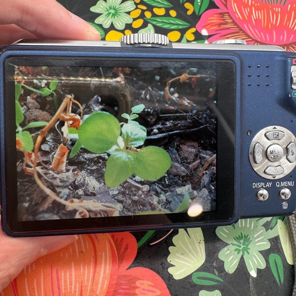 Panasonic lumix dmc